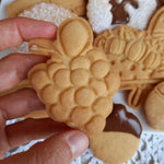 Immagine diapositiva