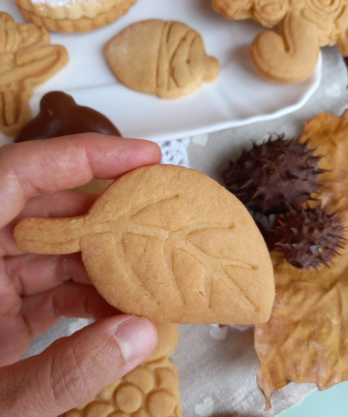 Stampo per biscotti a forma di Foglia 6
