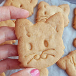 https://www.stampibiscotti.it/5359/gattino-1.jpg