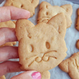 https://www.stampibiscotti.it/5359/gattino-1.jpg