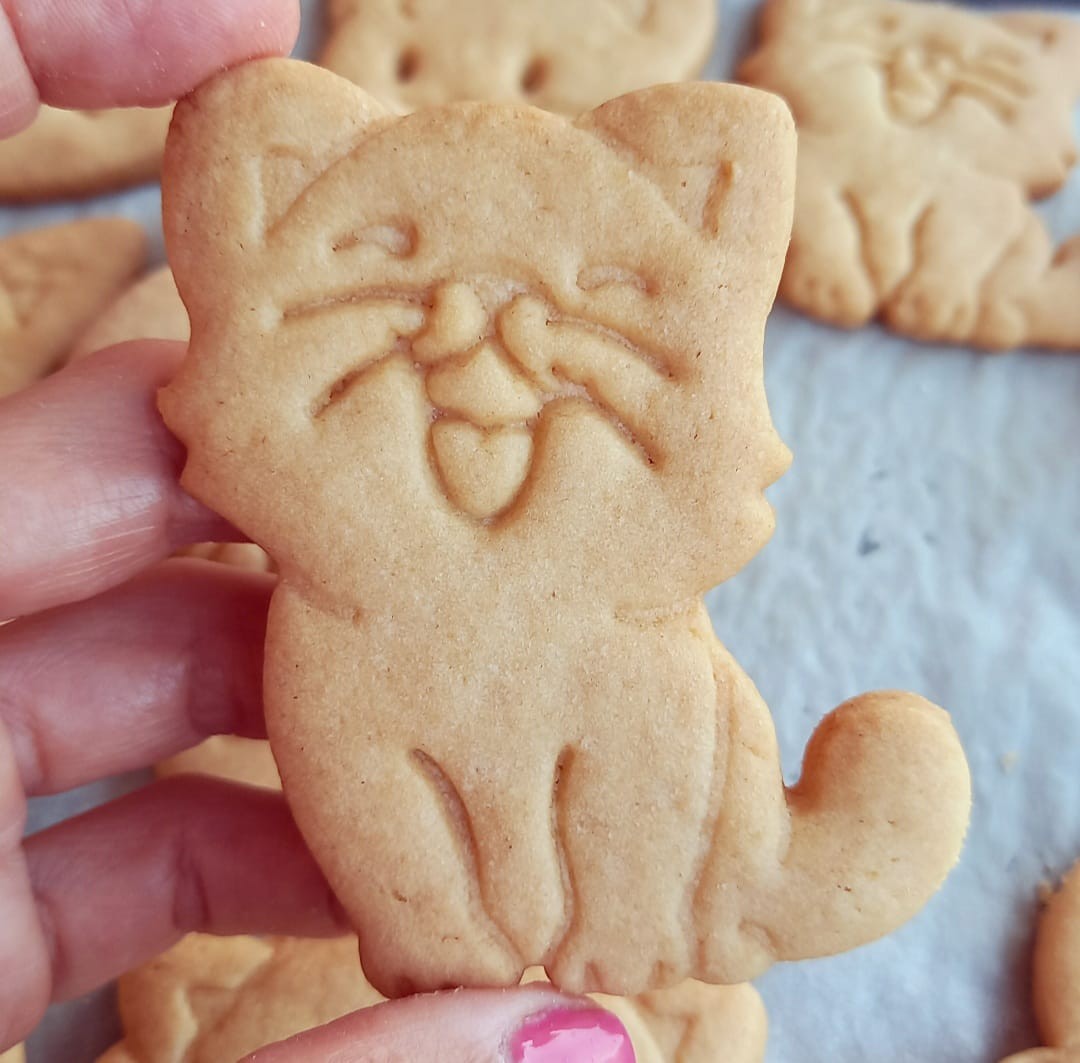 https://www.stampibiscotti.it/5358/gattino-2.jpg