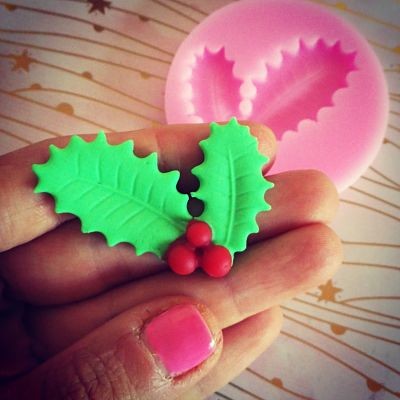 https://www.stampibiscotti.it/4294/stampo-agrifoglio-3d-silicone.jpg